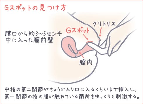 潮吹きするためのGスポットの位置