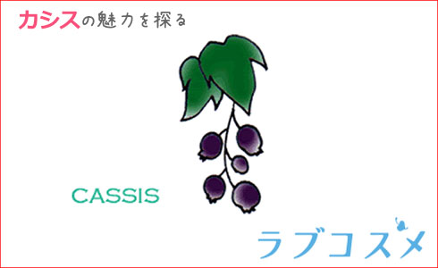 カシスの魅力を探る!