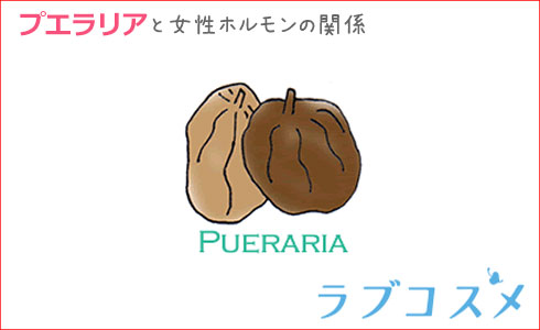 プエラリアと女性ホルモンの関係