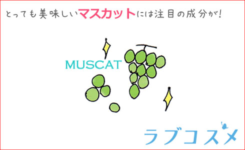 マスカットといえば