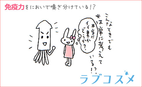 排卵期と非排卵期