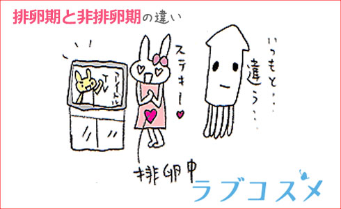 排卵期と非排卵期
