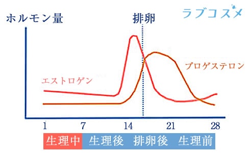 エストロゲンとプロゲステロンの関係を表すグラフ