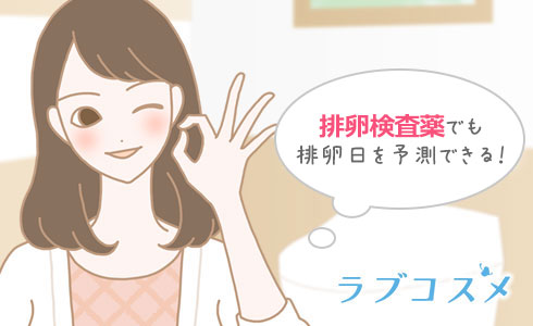 排卵検査薬でも排卵日を予測できる!