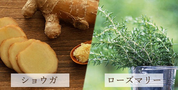 香り ローズマリーとショウガの香り